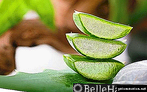 5 wonderbaarlijke zelfgemaakte haarproducten met aloë vera: alle voordelen van de plant