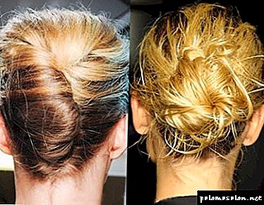 Elegant hairstyle French braid in 6 options
