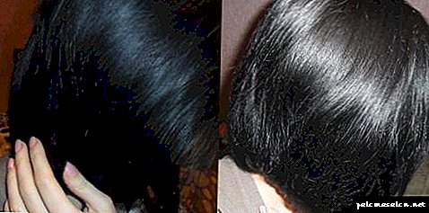 머리카락을위한 트리트먼트 : 2 가지 유형의 핫 랩