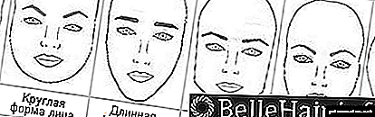 Various types and shapes of eyebrows depending on the type of face
