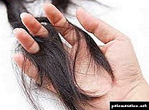 Why does hair fall out and how to deal with it