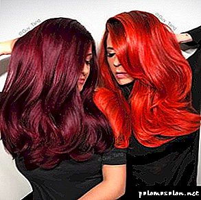 Teinture des cheveux foncés: coloration des cheveux, photo avant et après la procédure, ainsi que conseils de stylistes
