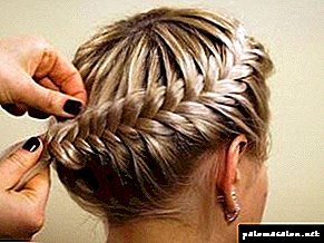 How to braid a braid around your head