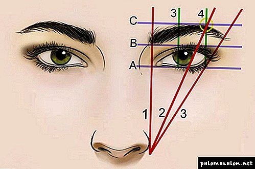 The correct form of eyebrows: we measure, we select, we create