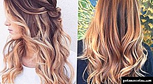 Competitive hairstyles: creative and familiar options (25 photos)
