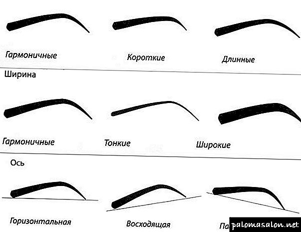 How to make eyebrow correction at home: step by step instructions