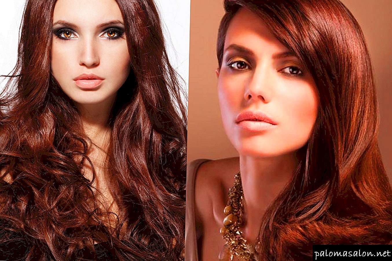 How to choose a suitable shade of dark brown hair: 6 popular types