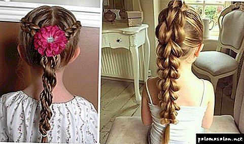 Hairstyles for girls to school: note for caring parents