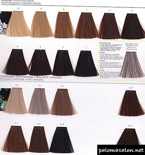 Palette of professional hair dyes