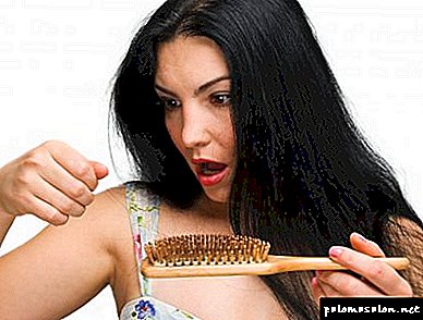 Escalar el pelo? El curso de la mascarilla con mostaza para la caída del cabello se detendrá y curará la enfermedad.