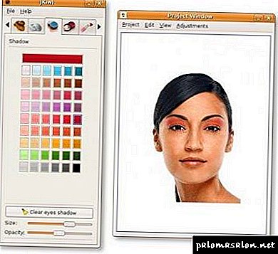 Seleção de cor de cabelo usando aplicativos on-line