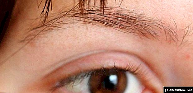 Effective masks for the growth of eyelashes and eyebrows - simple and useful recipes of traditional medicine