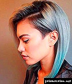 Short hairstyles - 300 best haircuts: modern, youth and other options