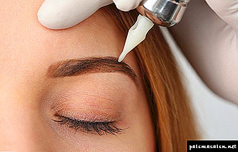 Ombre eyebrow tinting: rules and features of technology