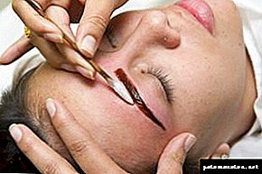 Coloration des sourcils au henné - caractéristiques de la procédure