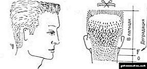 Caractéristiques des coupes de cheveux pour hommes - Plate-forme - et la technologie de sa mise en œuvre