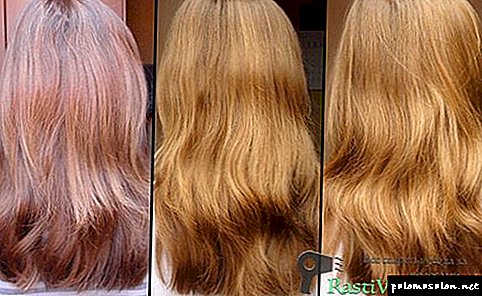 Receitas populares iluminam o cabelo com mel e os benefícios deste procedimento
