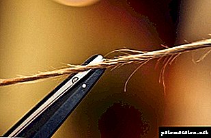Στίλβωση ή ελασματοποίηση μαλλιών: η οποία είναι καλύτερη