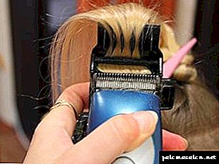 Hair polishing or keratin straightening