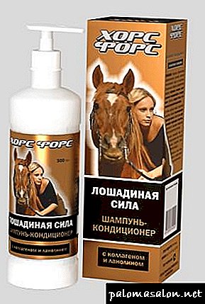 Cabelo luxuoso com uma composição de cura de shampoo Horsepower