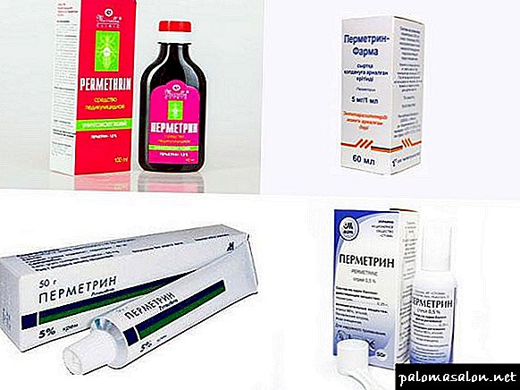 Términos de uso del medicamento Permetrina contra piojos y liendres