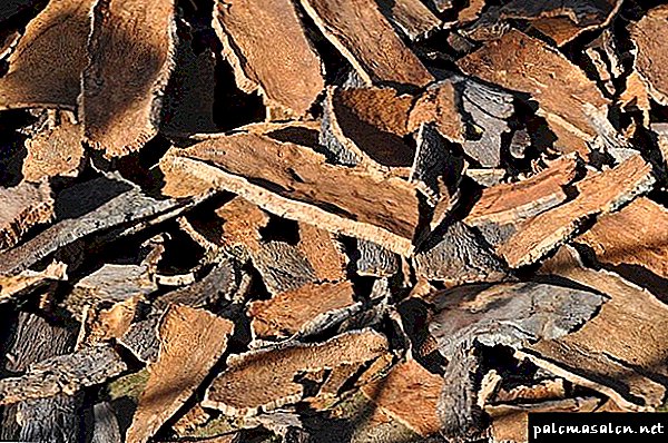 Oak bark for hair: recipes for masks, decoctions, dyeing, reviews