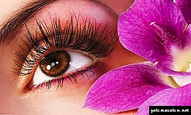 Methods of application and application of coconut oil for eyelashes and eyebrows