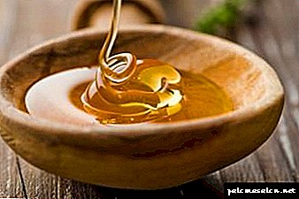 10 effective recipes with honey for hair