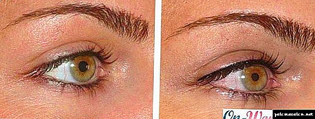Augenbrauentätowierung durch die Haarmethode