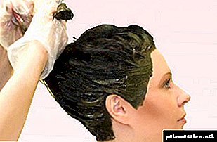 बालों को हल्का करने के लिए मेंहदी के उपयोग की सभी सूक्ष्मताएँ